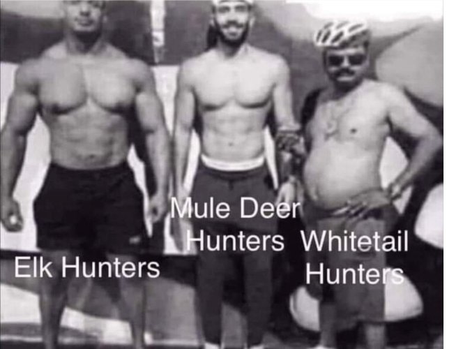 hunters3.jpg