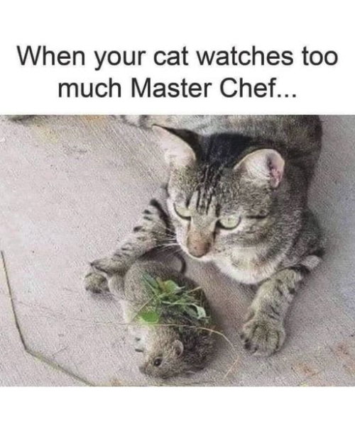 1680538852397.png