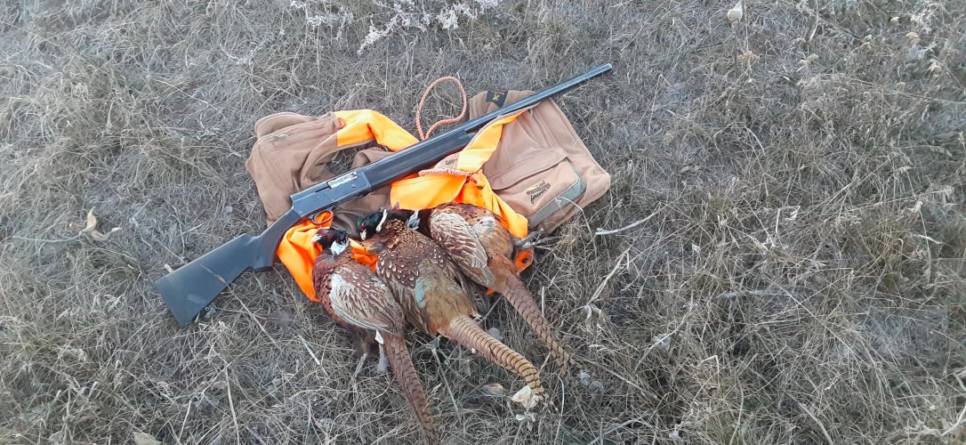 20221106_164038.jpg 20221106_164038.jpg