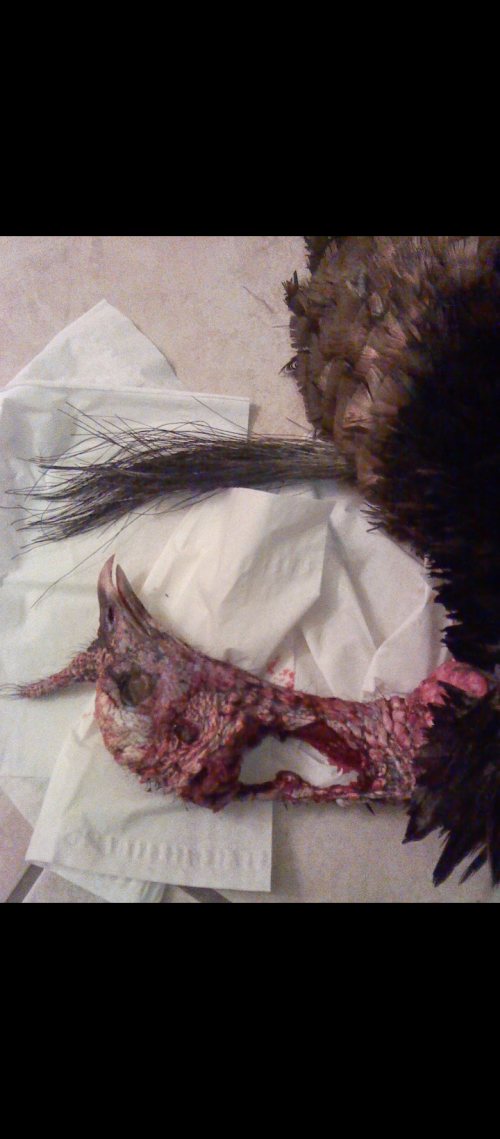 Screenshot_20230405-163352.png Screenshot_20230405-163352.png