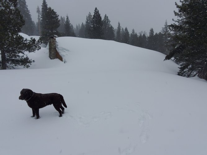Alpine Lodge.jpg