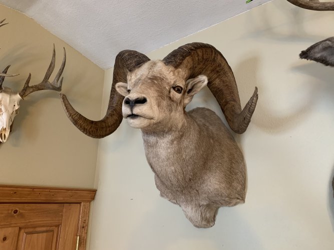 F1B3131C-1302-46E6-BC8B-AB4590E75FC4.jpeg F1B3131C-1302-46E6-BC8B-AB4590E75FC4.jpeg