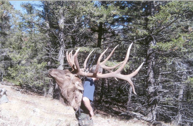 2005 elk pack.jpg 2005 elk pack.jpg