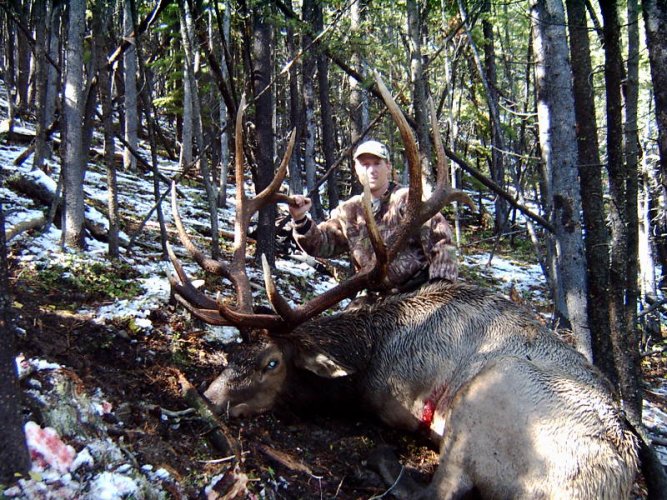 2005 ELK 007.jpg 2005 ELK 007.jpg