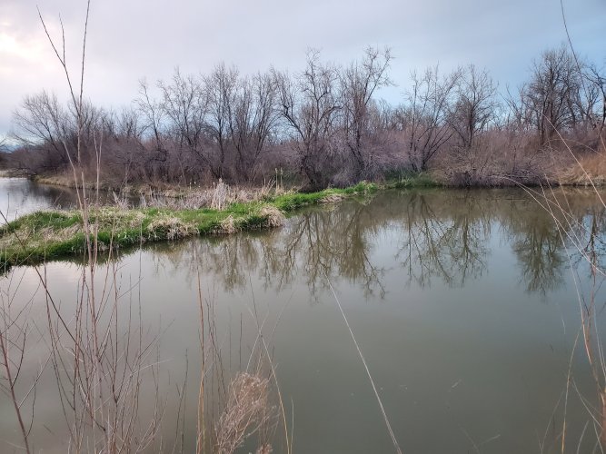 20230422_200011.jpg 20230422_200011.jpg