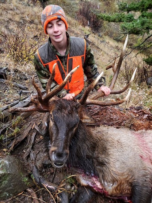 Caden's bull.jpg Caden's bull.jpg