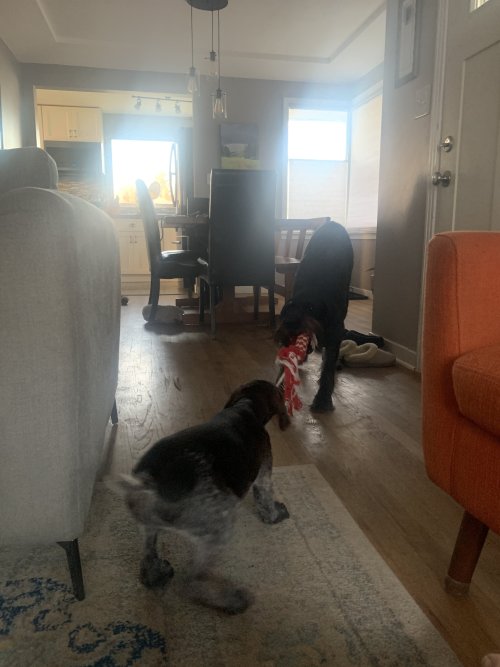 IMG_6239.jpeg IMG_6239.jpeg