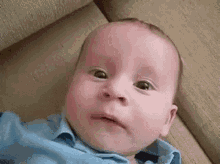 1682804036746.gif 1682804036746.gif