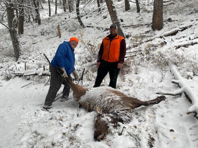 IMG_7501.jpg IMG_7501.jpg