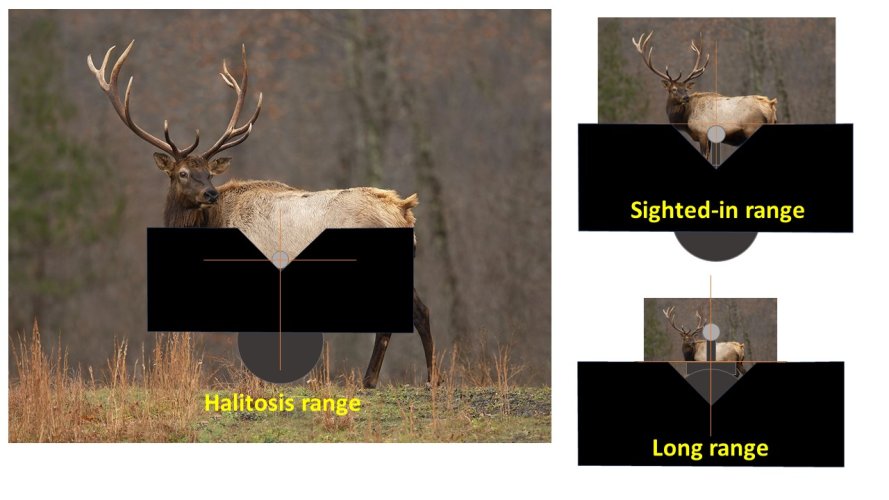 Barrel Sights Positions.jpg