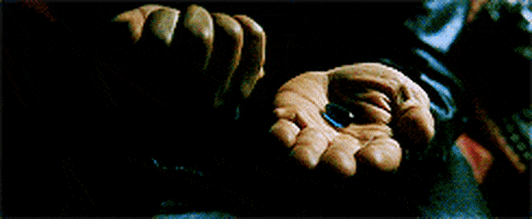 1683216580493.gif
