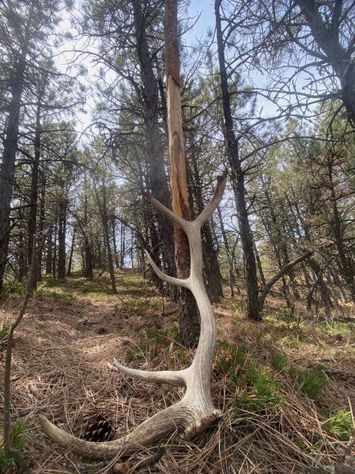 shed.jpg shed.jpg