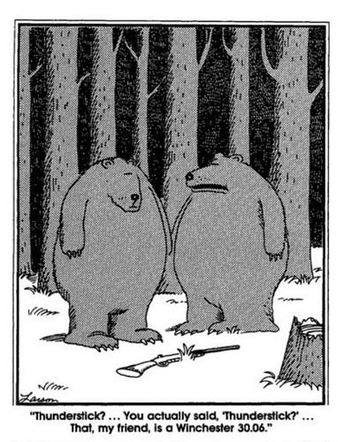 Far Side Bears Thunderstick - Copy.jpg