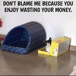 1683739776752.png 1683739776752.png