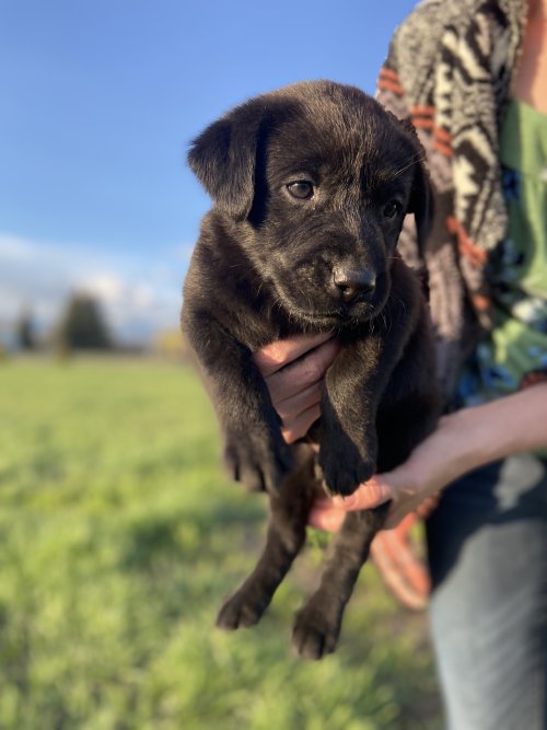 1F60AAEB-CB61-476D-B588-263596430765.jpeg 1F60AAEB-CB61-476D-B588-263596430765.jpeg