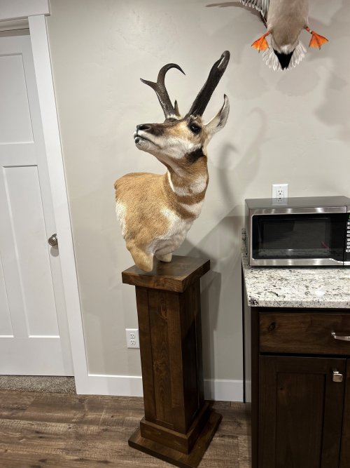 Antelope Mount.jpg