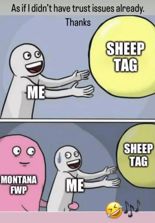 IMG_20230518_183212_684.jpg IMG_20230518_183212_684.jpg