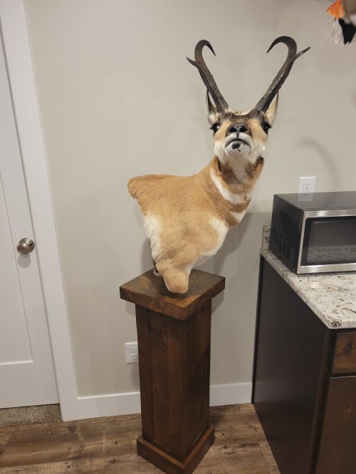 Antelope Mount 2.jpg