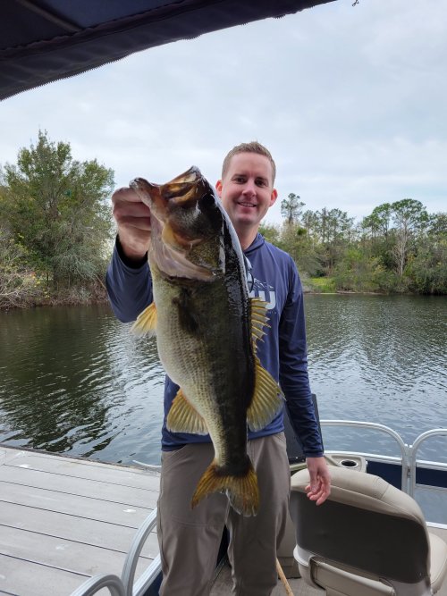 Bass 3.jpg