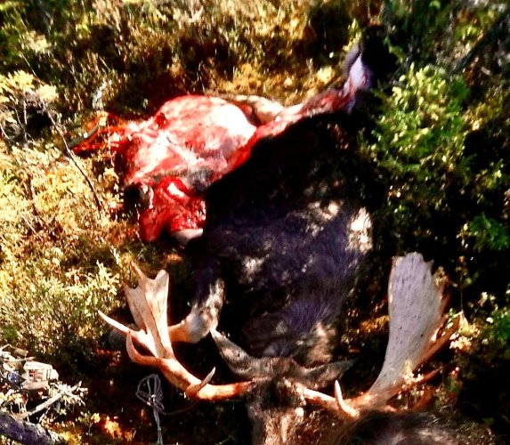 20210325_073038.jpg 20210325_073038.jpg