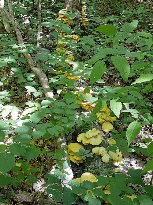 20230527_110705.jpg 20230527_110705.jpg