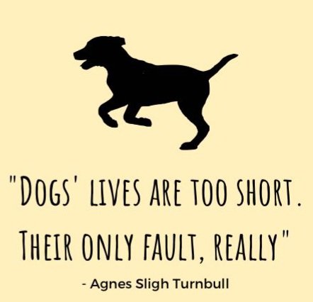 dogs-loss-quote-dogs-lives-are-too-short.jpg