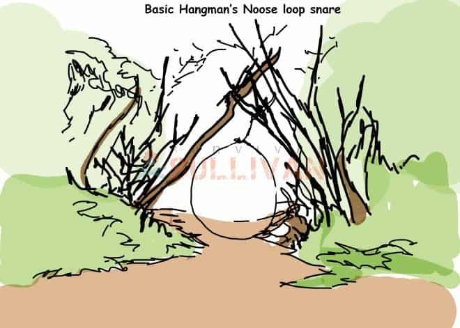 basic-hangmans-noose-loop-snare.jpg basic-hangmans-noose-loop-snare.jpg