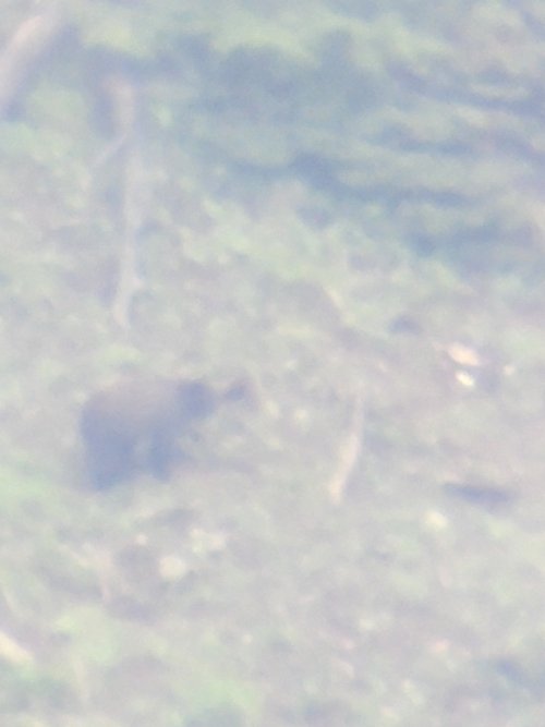 20230604_101312.jpg