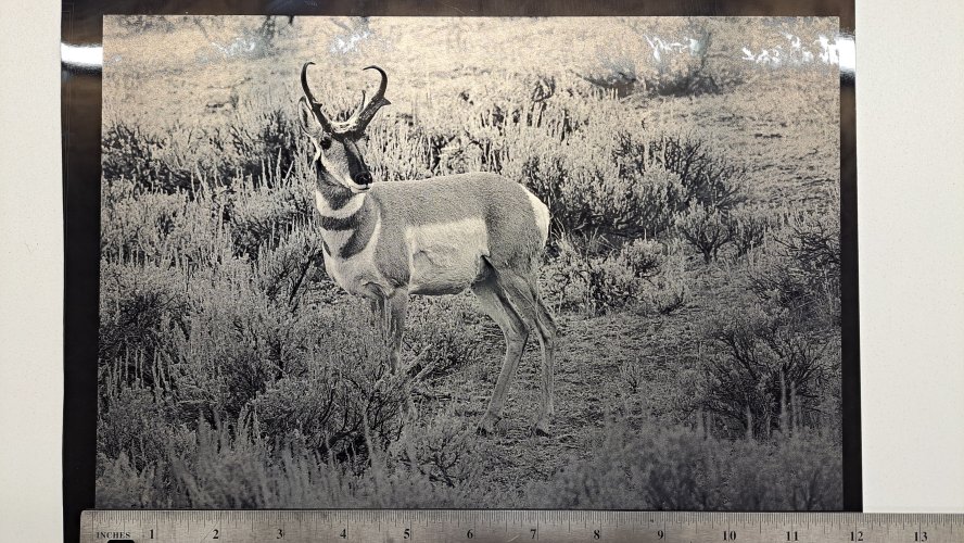 20230423_231951.jpg 20230423_231951.jpg