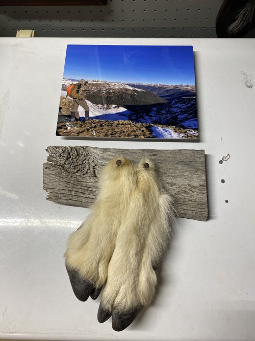 2D011C31-B909-4D22-BE0A-8143D037B5BA.jpeg 2D011C31-B909-4D22-BE0A-8143D037B5BA.jpeg