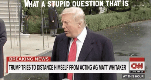 trump-stupid.gif