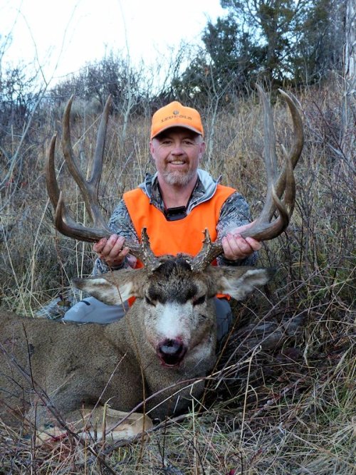 2016Buck1small.jpg 2016Buck1small.jpg