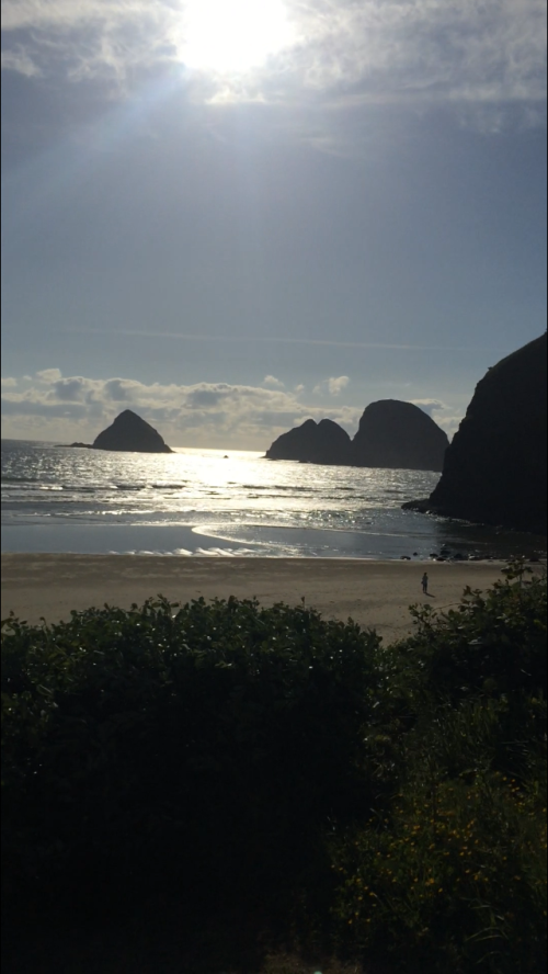 IMG_7446.png IMG_7446.png