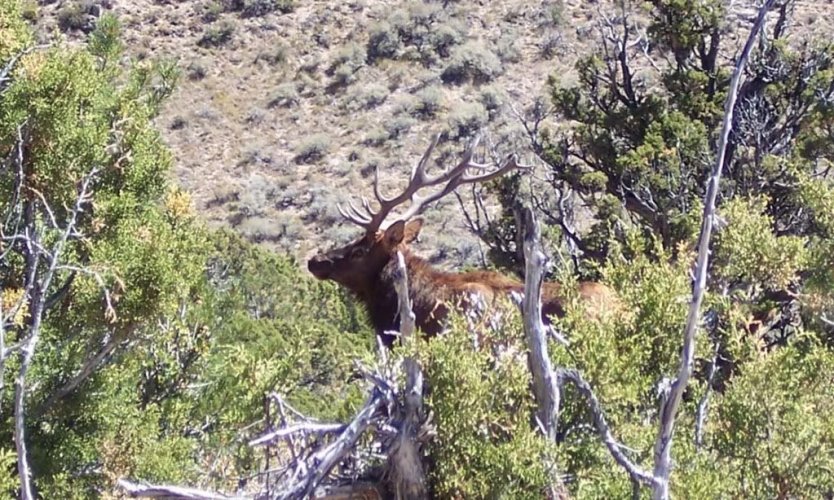 IMG_0894.jpeg IMG_0894.jpeg