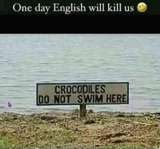 1686501670501.png
