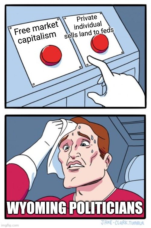 7p87tv.jpg
