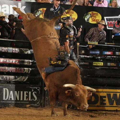 Bushwacker#2.jpg Bushwacker#2.jpg