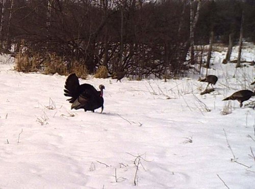 PICT0117.jpg