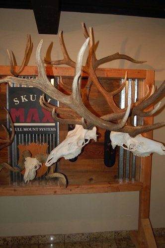 SkullmaxRMEF 004.jpg