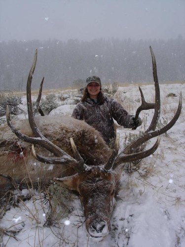 Lindsey's 2010 elk.jpg