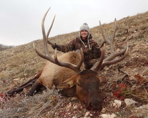 2013 elk 040.jpg