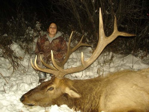 Amy's elk 2011 008.jpg Amy's elk 2011 008.jpg