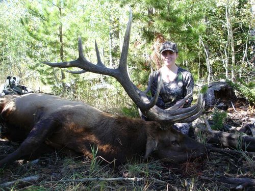 kerry's elk 07 083.jpg kerry's elk 07 083.jpg