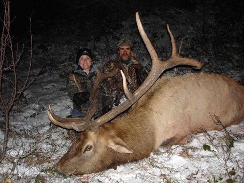 Kerry's broke bull.jpg Kerry's broke bull.jpg