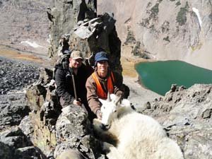 MountainGoat.jpg