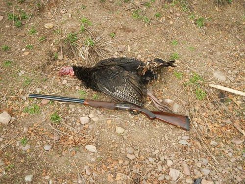 turkey 003.jpg