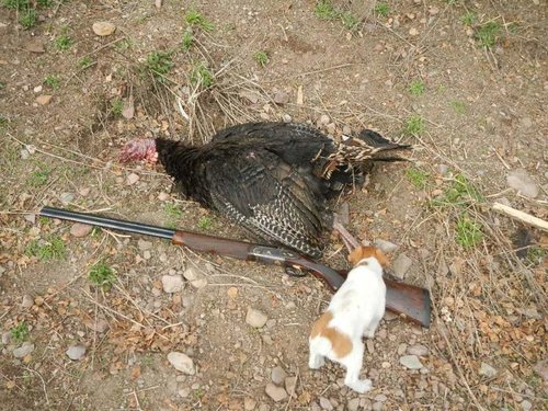 turkey 002.jpg