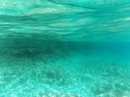 reef at Lighthouse.jpg
