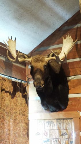 Moose Mount.jpg