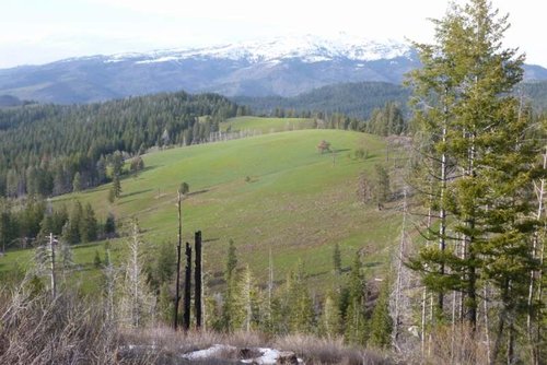 Bear Hunt May 2014 001 (1024x683).jpg